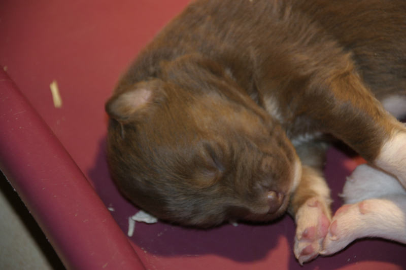 Tazz-Wendy 20070927013