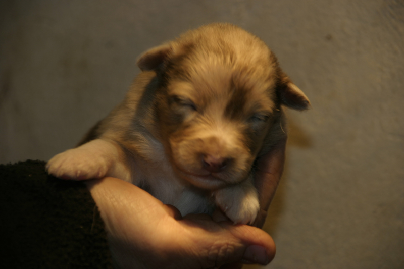 Tazz-Wendy 20070927014