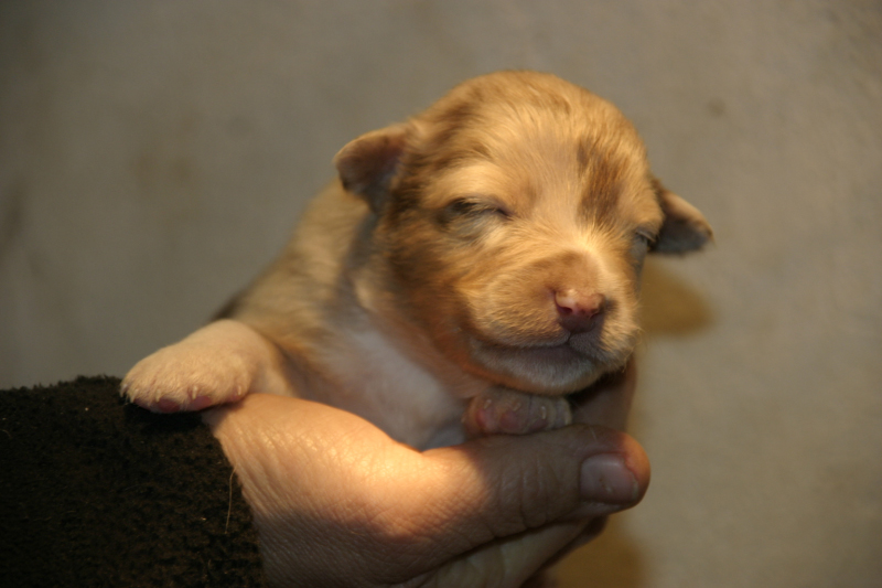 Tazz-Wendy 20070927015