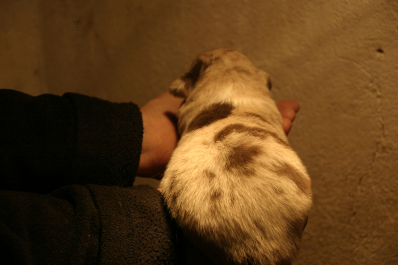 Tazz-Wendy 20070927017