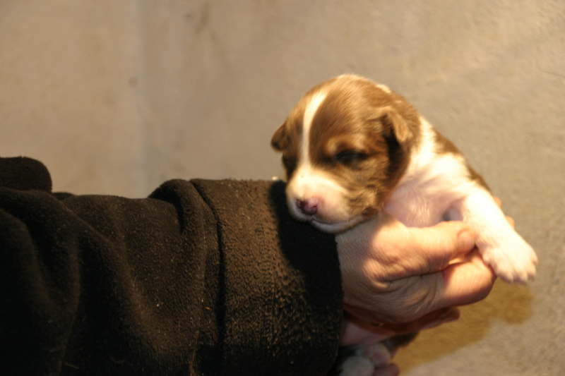 Tazz-Wendy 20070927021