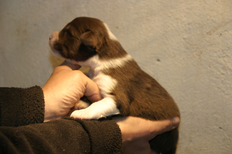 Tazz-Wendy 20070927022