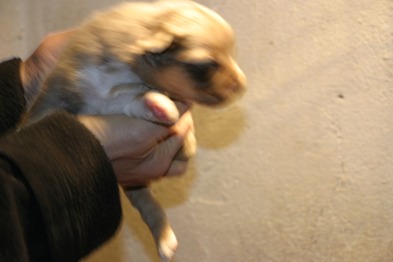 Tazz-Wendy 20070927024