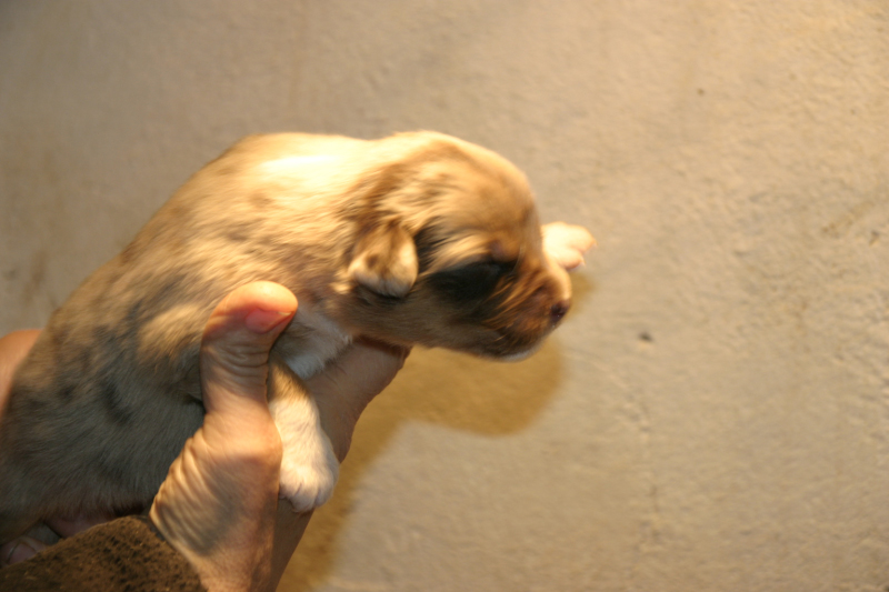 Tazz-Wendy 20070927025