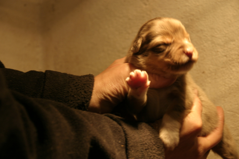 Tazz-Wendy 20070927027