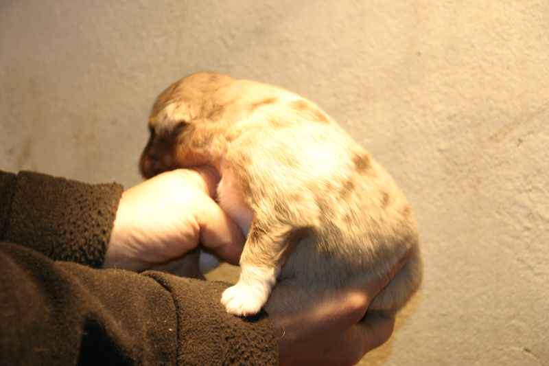 Tazz-Wendy 20070927030