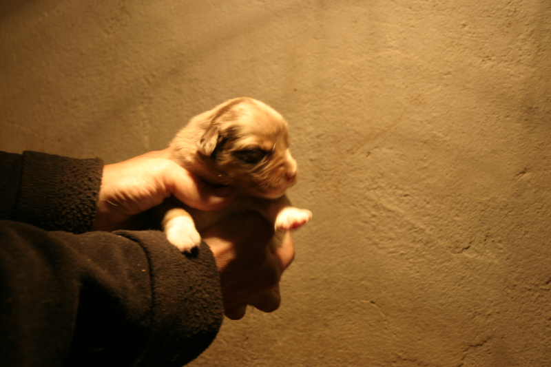 Tazz-Wendy 20070927031