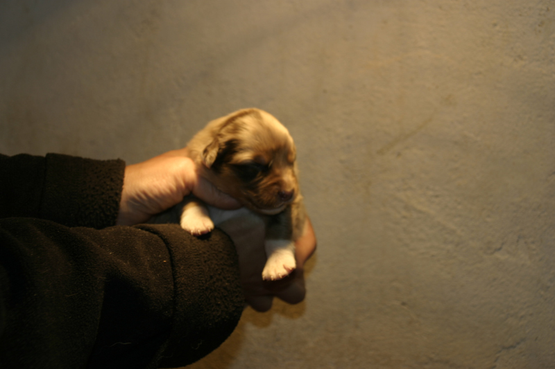 Tazz-Wendy 20070927032