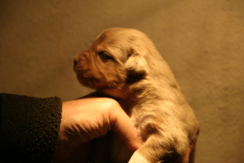 Tazz-Wendy 20070927033