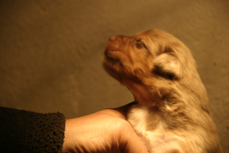 Tazz-Wendy 20070927034