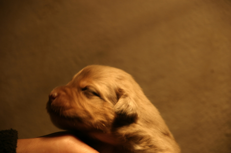 Tazz-Wendy 20070927035