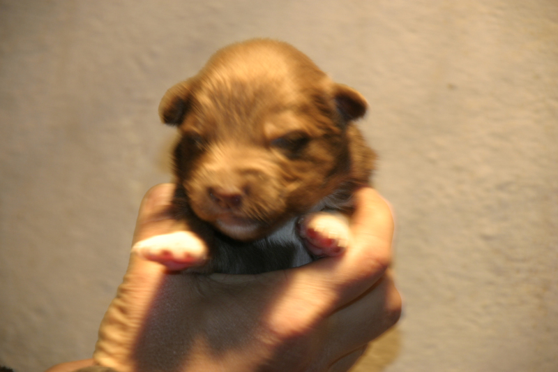 Tazz-Wendy 20070927036