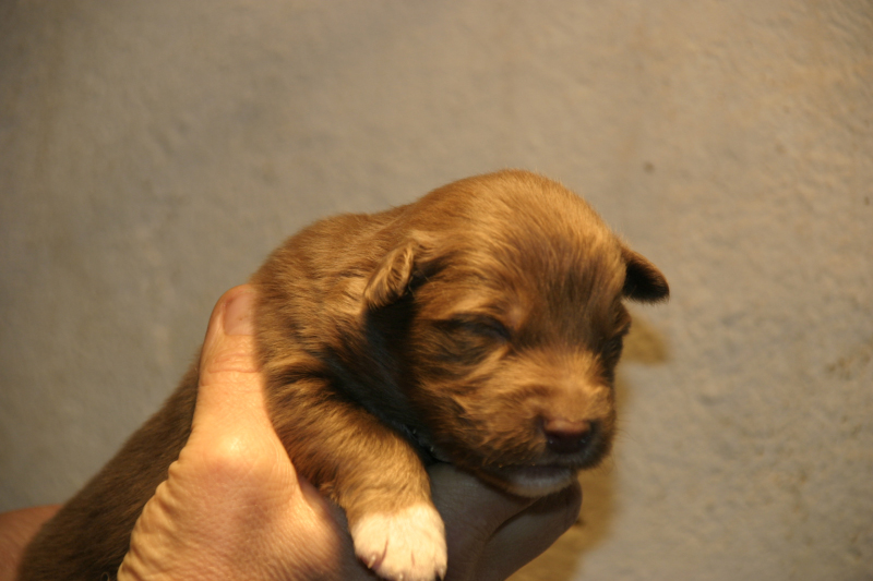 Tazz-Wendy 20070927038