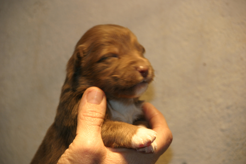 Tazz-Wendy 20070927039