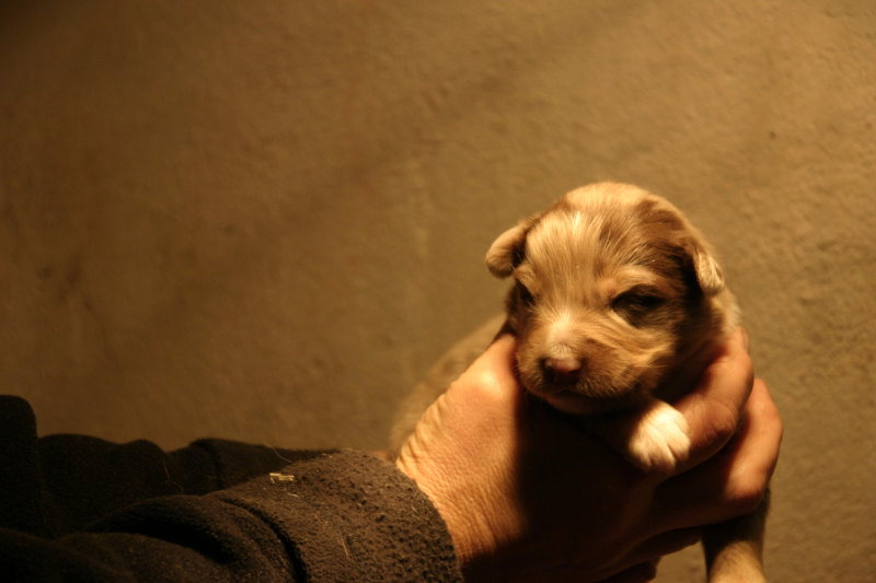 Tazz-Wendy 20070927040