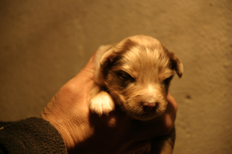 Tazz-Wendy 20070927042