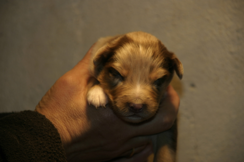 Tazz-Wendy 20070927043