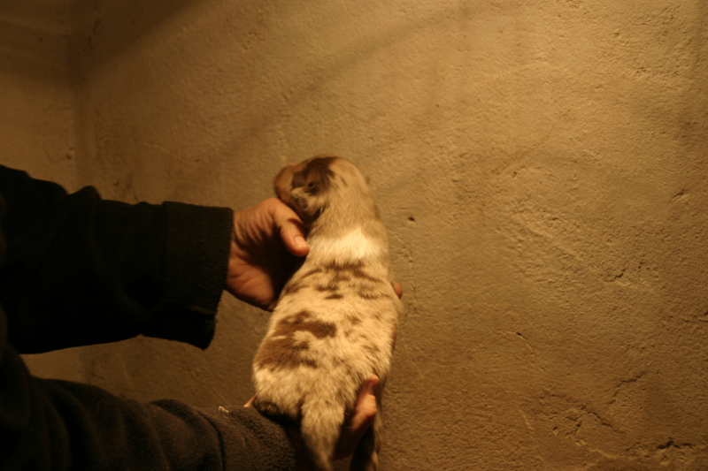 Tazz-Wendy 20070927045