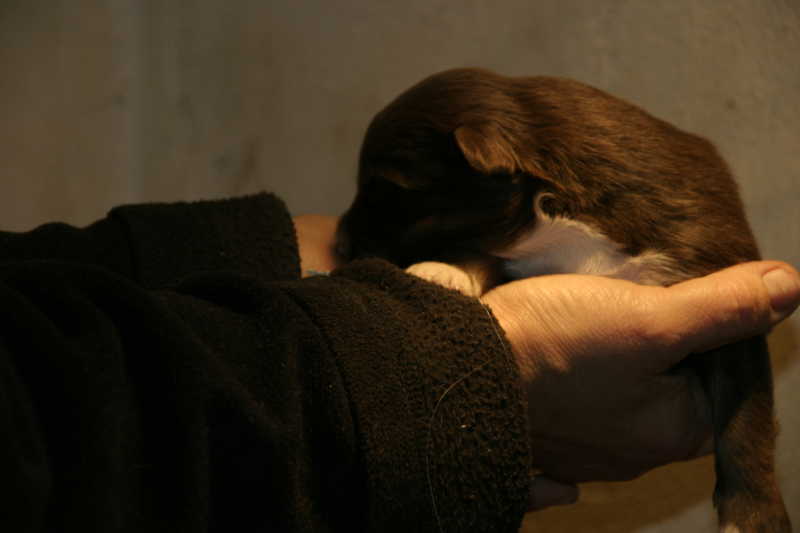 Tazz-Wendy 20070927048