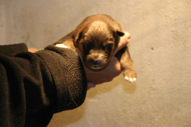 Tazz-Wendy 20070927050