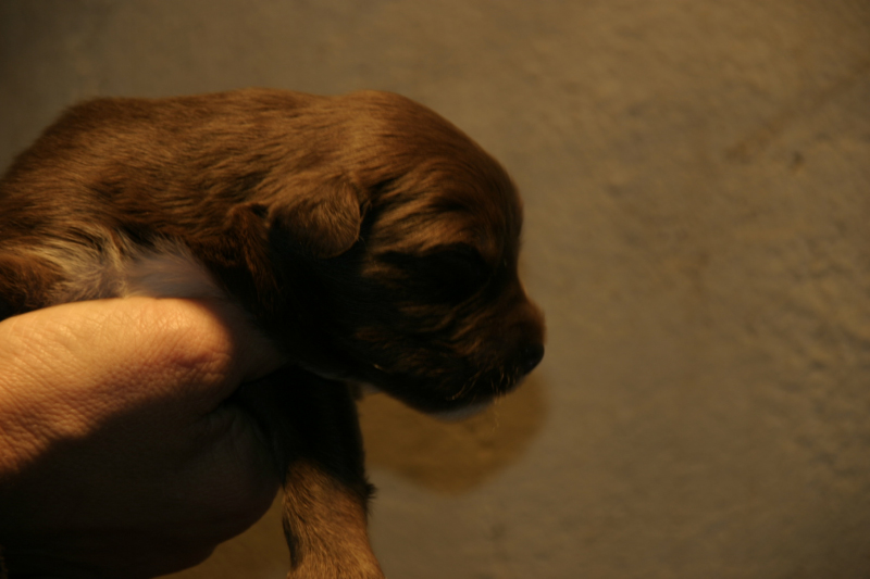 Tazz-Wendy 20070927051