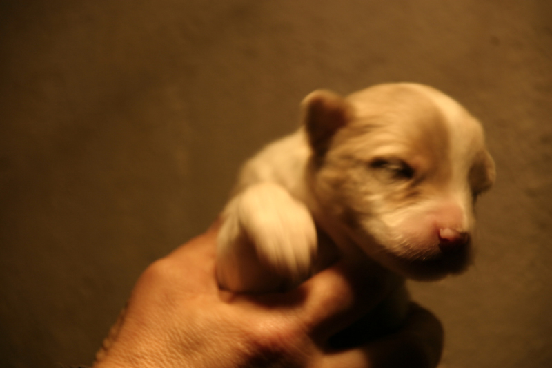 Tazz-Wendy 20070927052