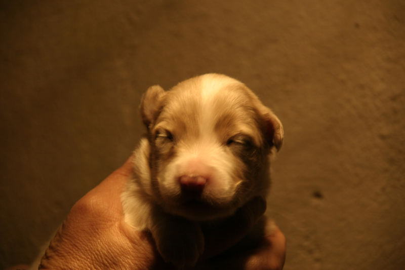 Tazz-Wendy 20070927054