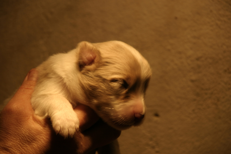 Tazz-Wendy 20070927055