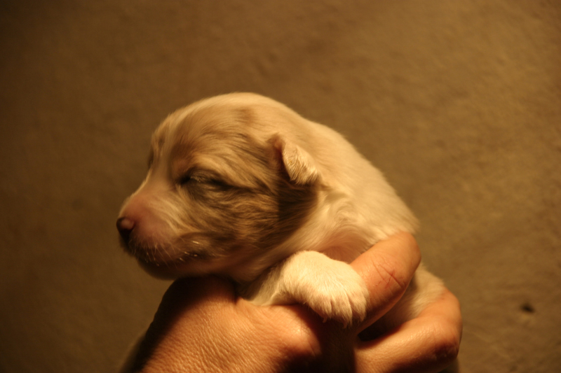 Tazz-Wendy 20070927056