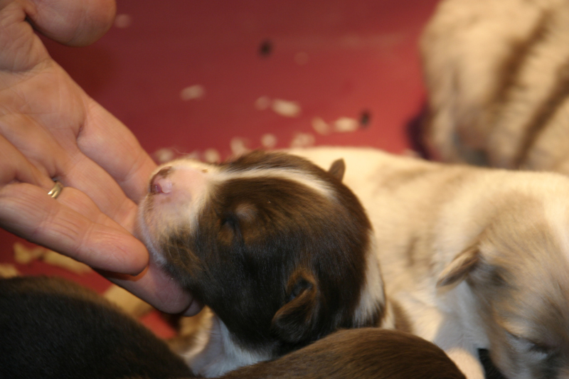 Tazz-Wendy 20070927061